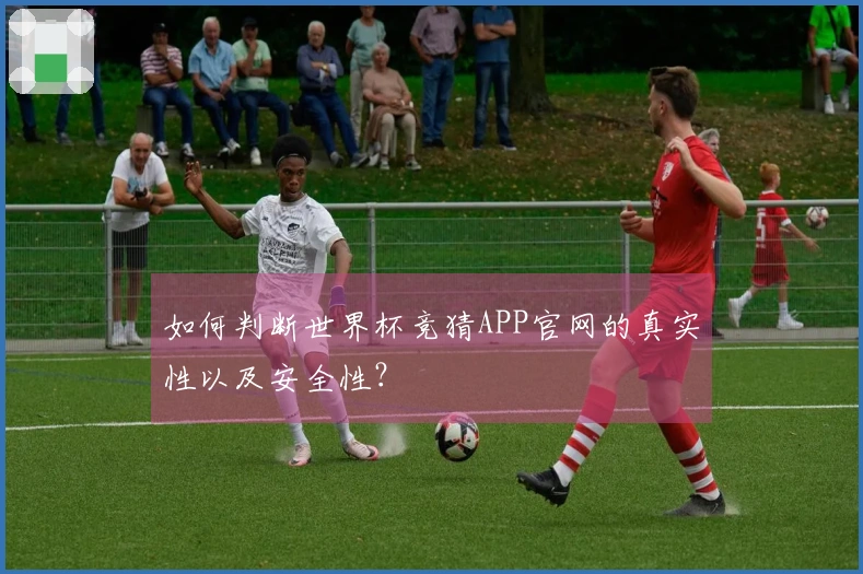 如何判断世界杯竞猜APP官网的真实性以及安全性？