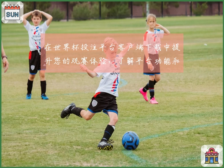 在世界杯投注平台客户端下载中提升您的观赛体验，了解平台功能和使用指南