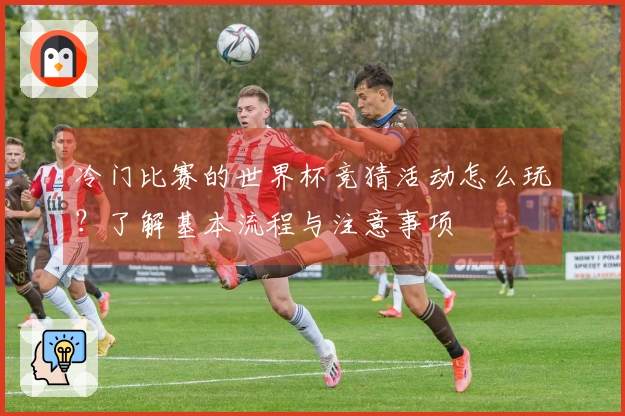 冷门比赛的世界杯竞猜活动怎么玩？了解基本流程与注意事项