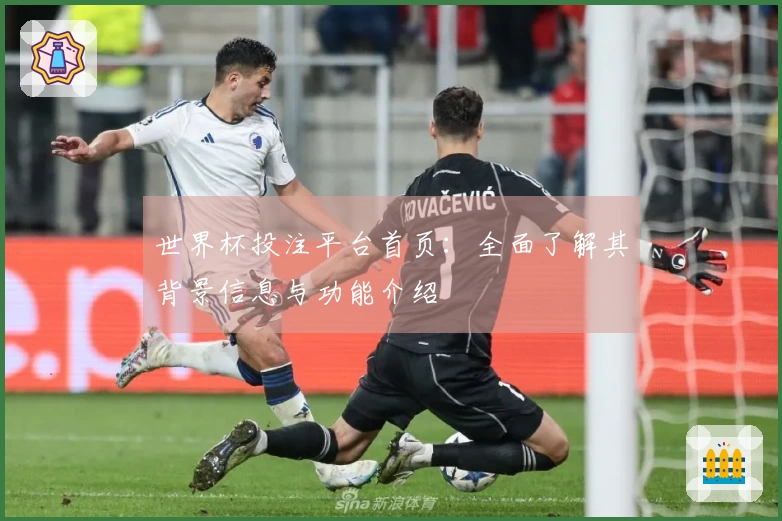 世界杯投注平台首页：全面了解其背景信息与功能介绍