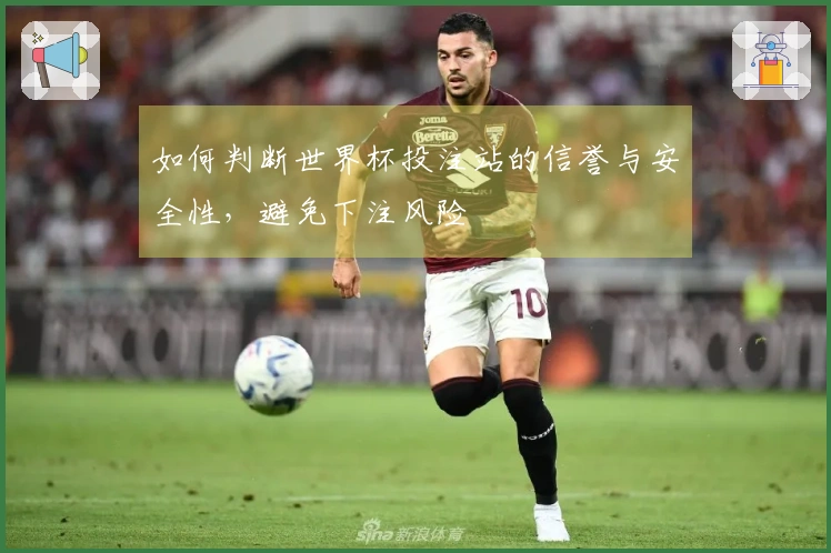如何判断世界杯投注站的信誉与安全性，避免下注风险