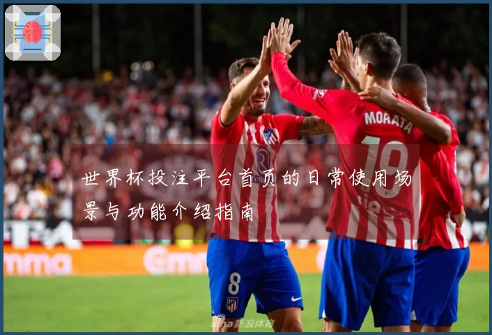 世界杯投注平台首页的日常使用场景与功能介绍指南