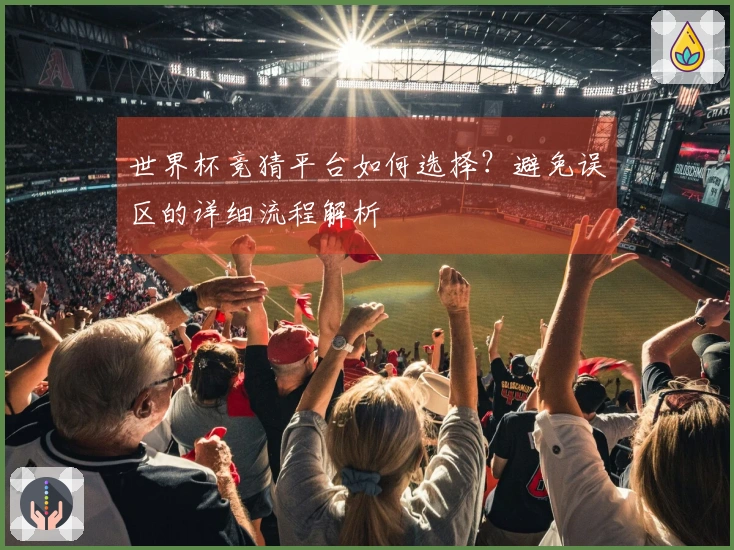 世界杯竞猜平台如何选择？避免误区的详细流程解析