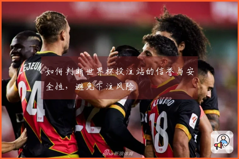 如何判断世界杯投注站的信誉与安全性，避免下注风险
